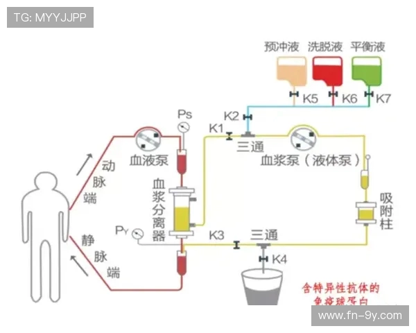 围绕足球运动探讨如何选择最适合的球类项目与训练发展方案策略集