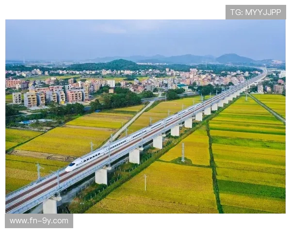 全面梳理当今上海主要足球队伍的发展现状与特色深度全景解析